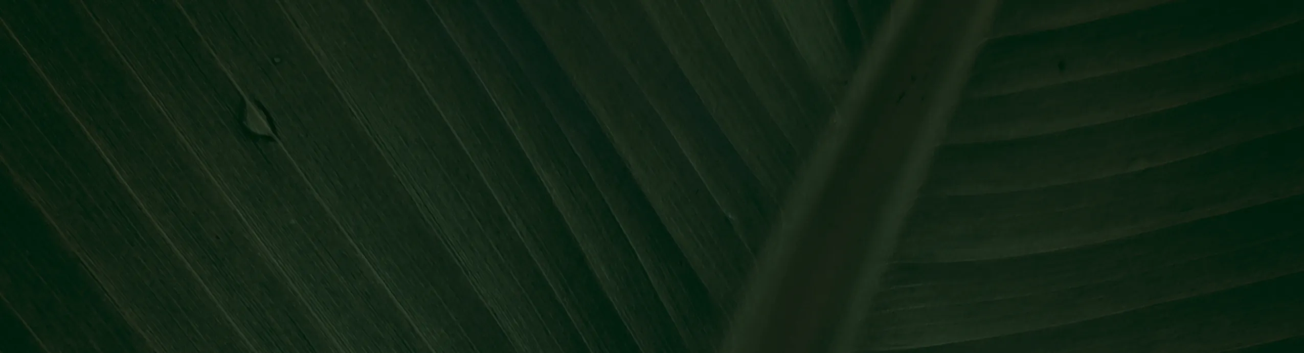 hero-image_optimized All-Purpose Flour