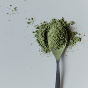 Ginkgo Biloba Powder