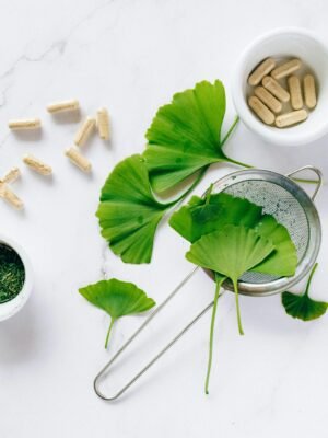 Ginkgo Biloba Powder