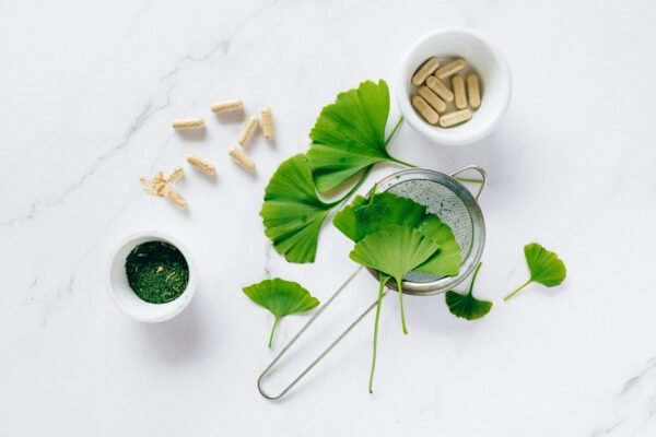 Ginkgo Biloba Powder